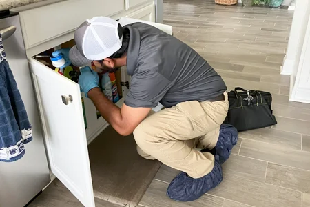 inspecting kitchen for pest