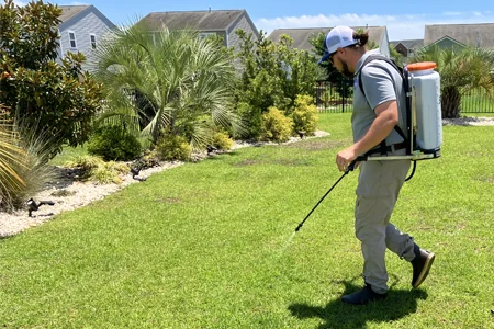 spraying lawn for weeds
