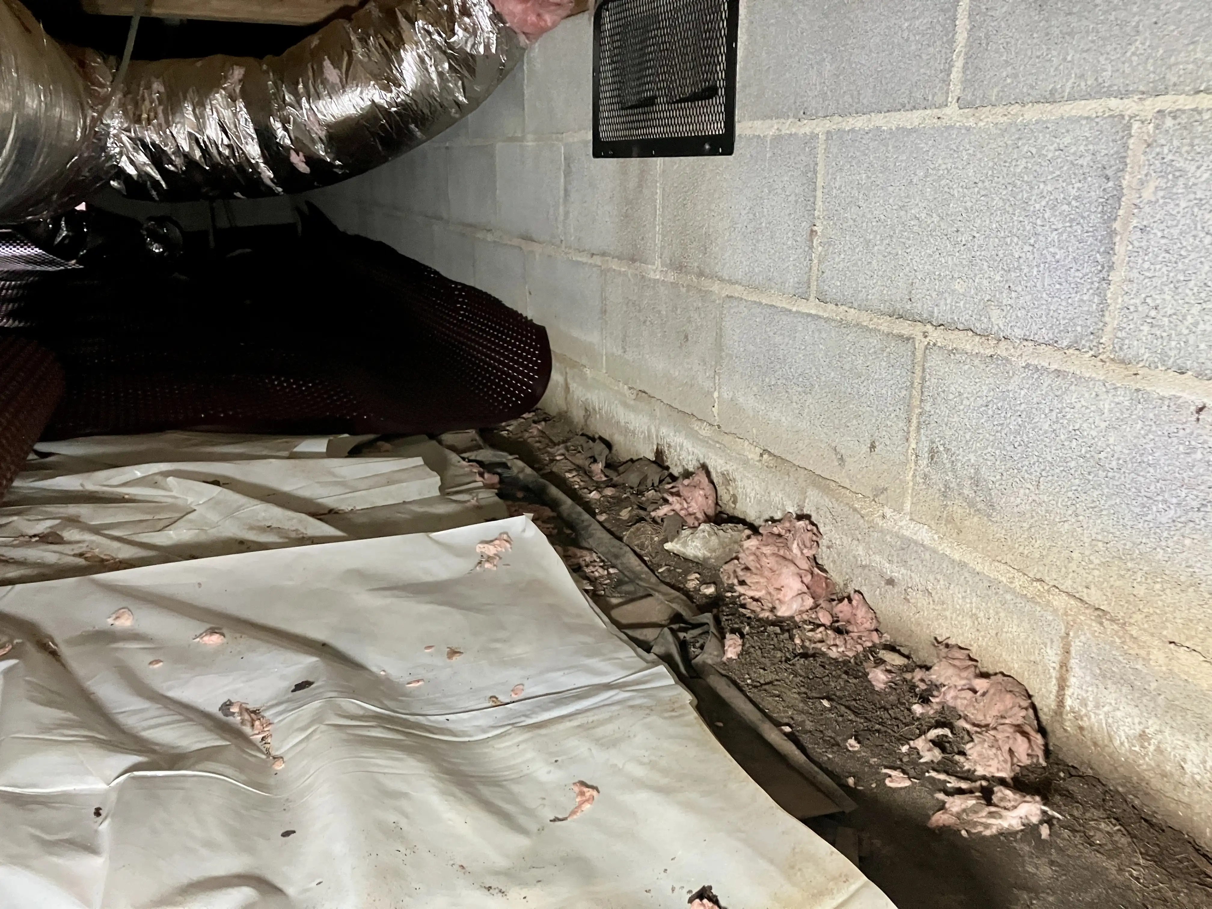 raynor crawlspace before