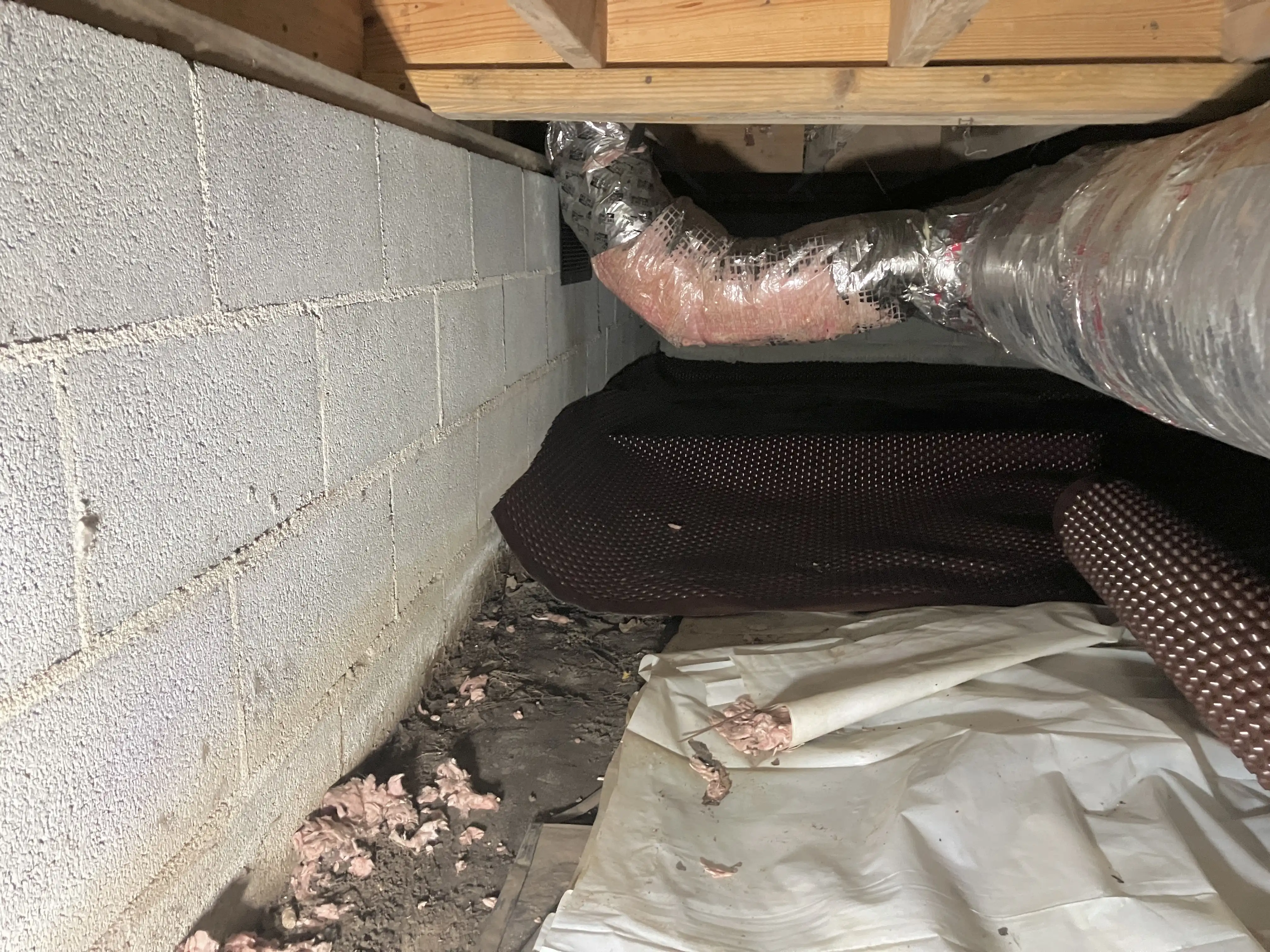 raynor crawlspace before