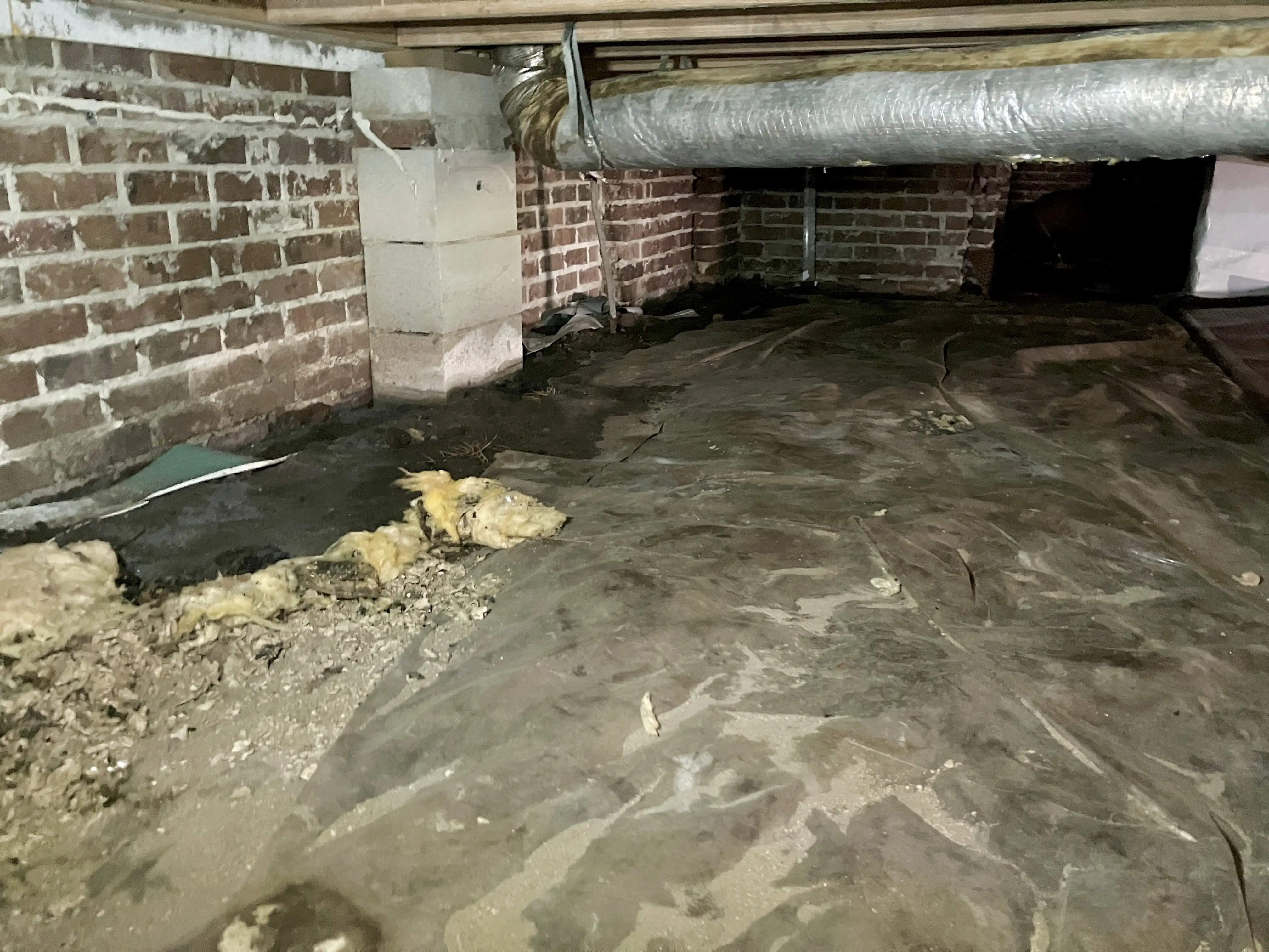 Johnson crawlspace before