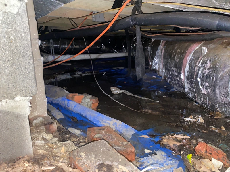 crawl space