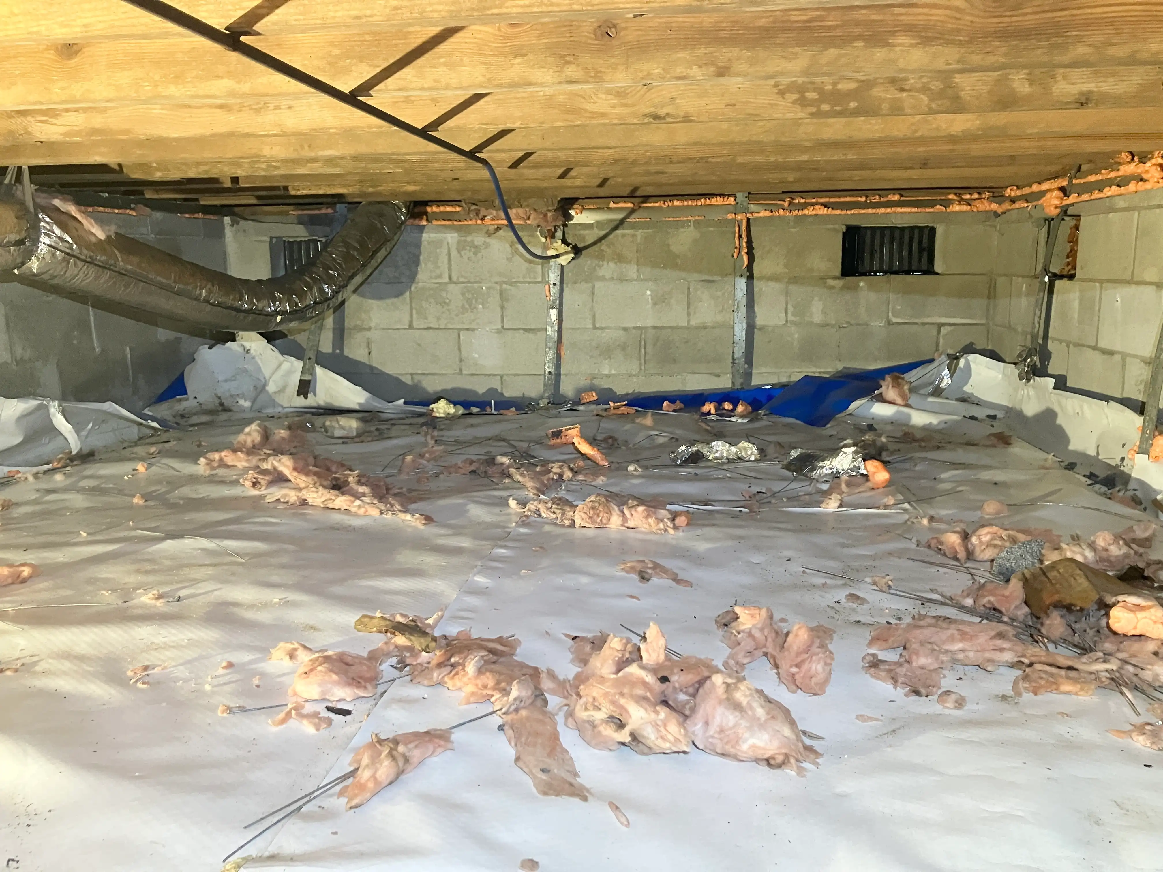 barnes crawlspace before