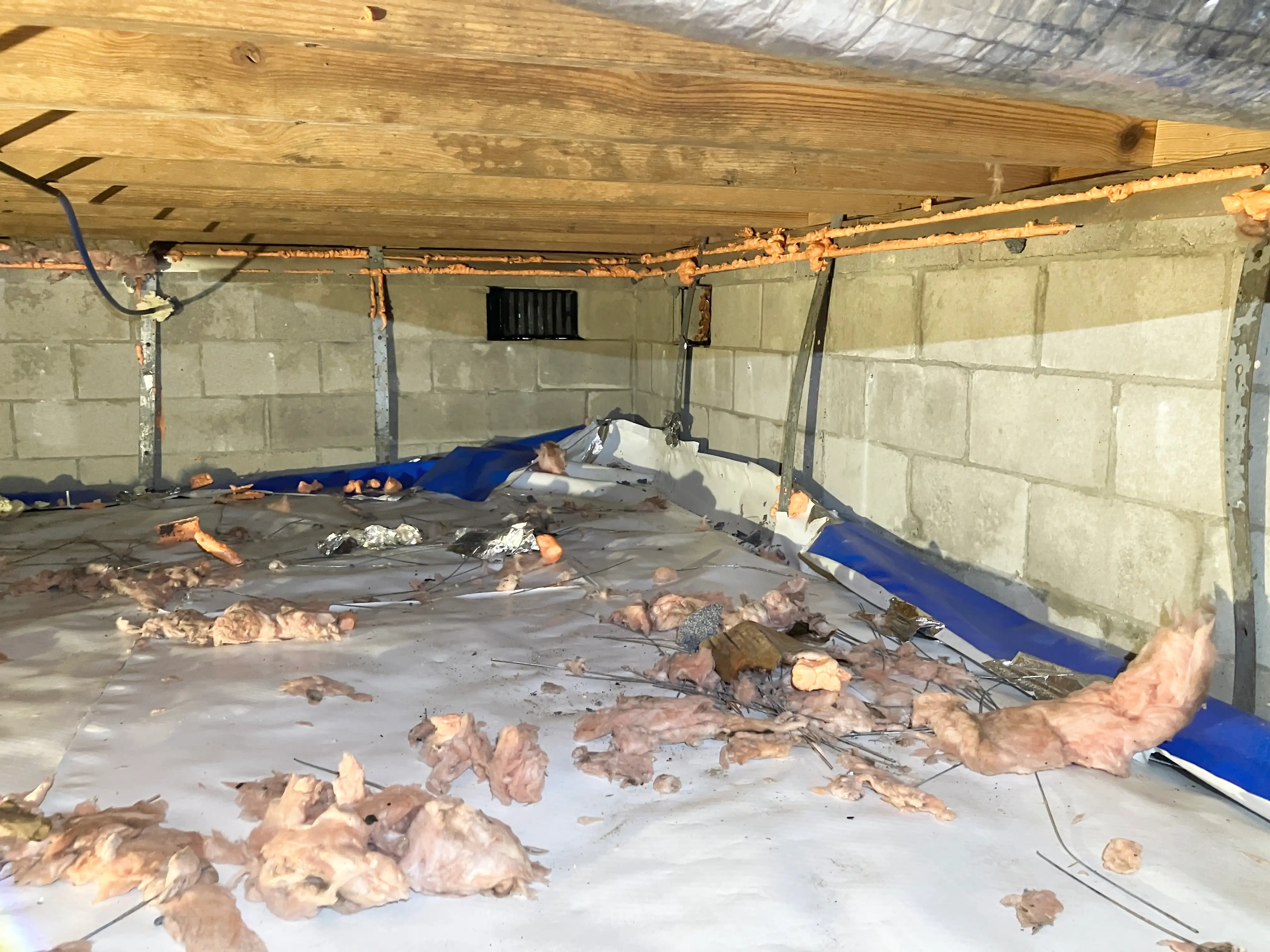 barnes crawlspace before