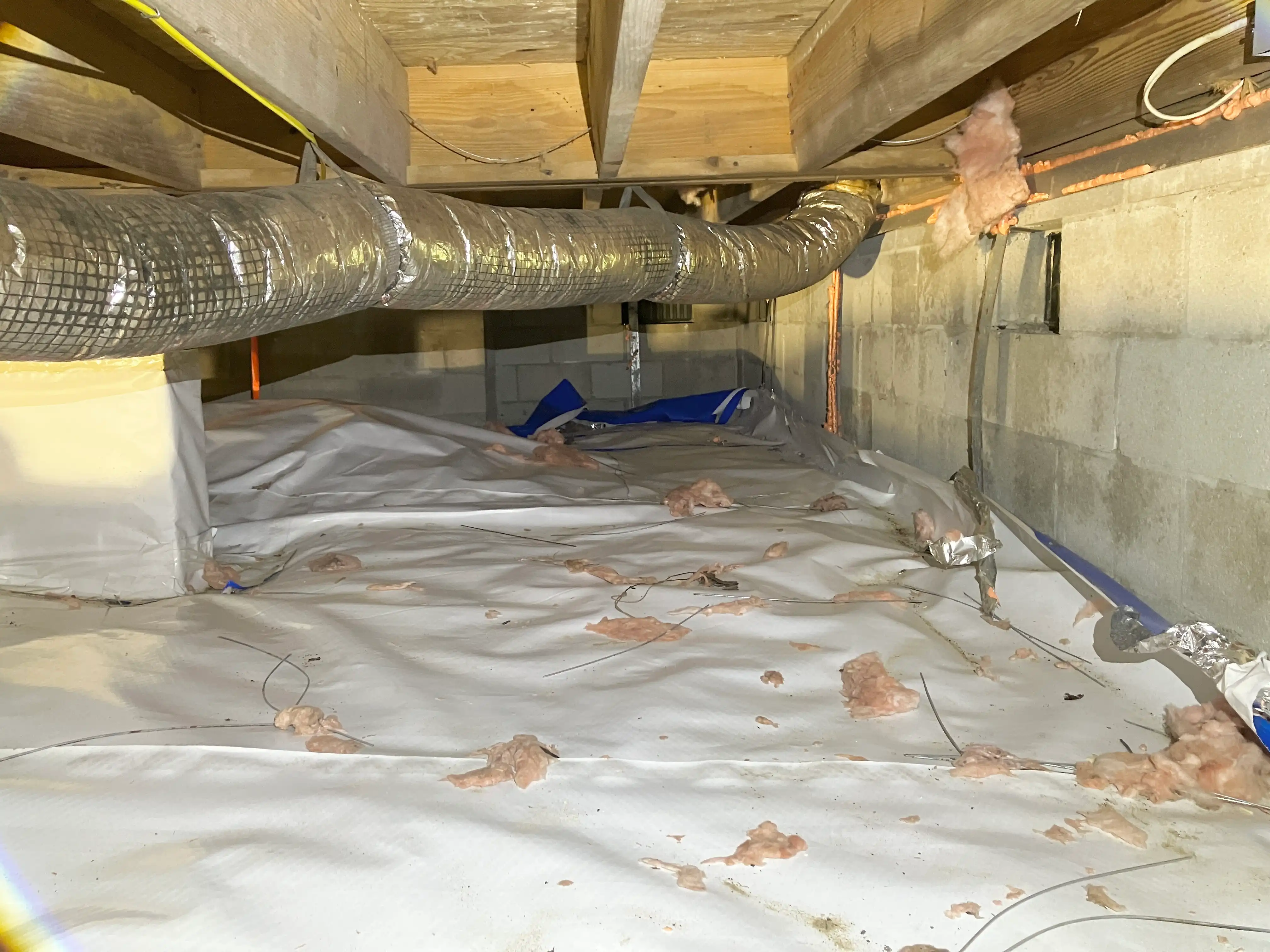 barnes crawlspace before