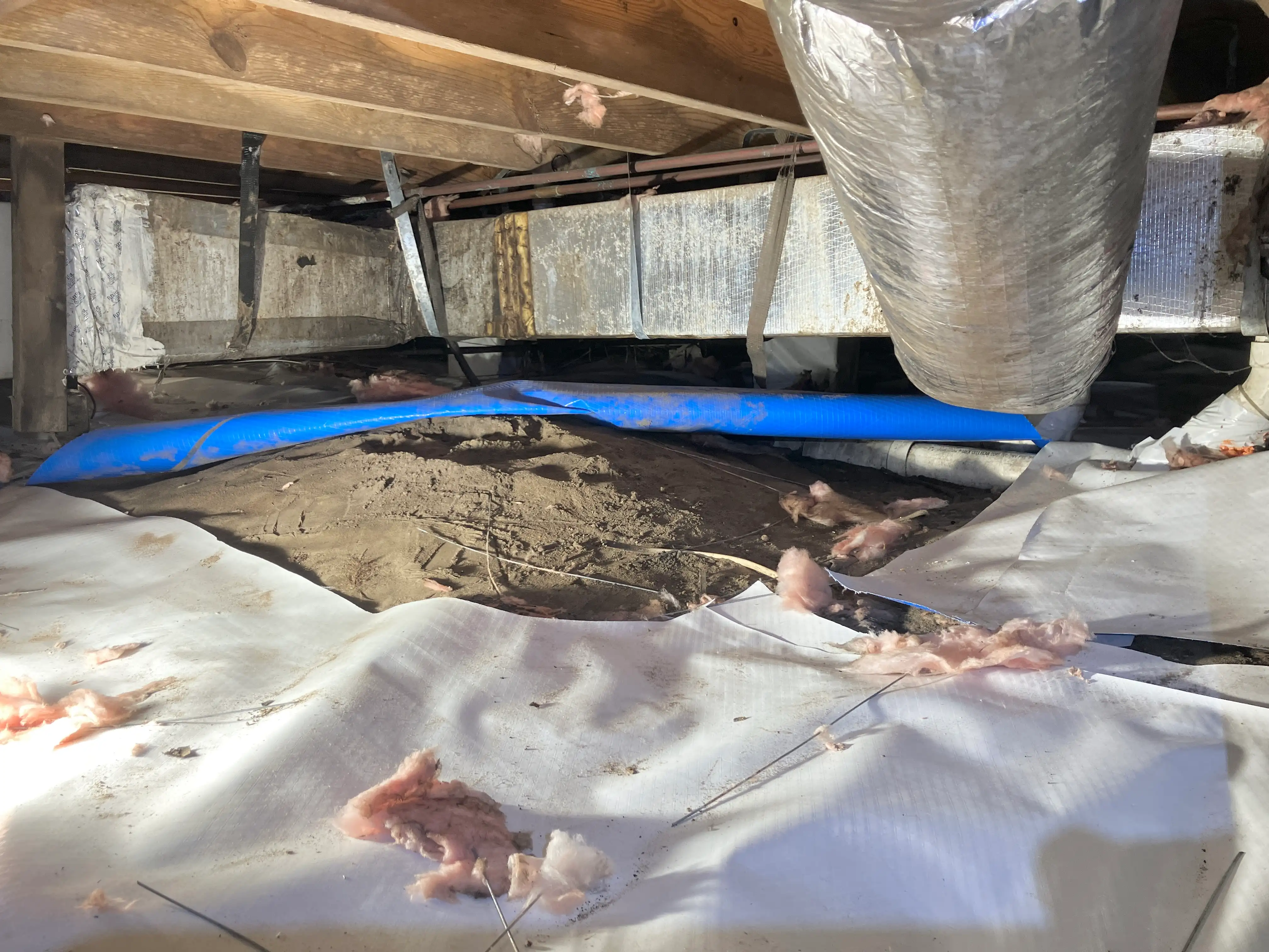 barnes crawlspace before