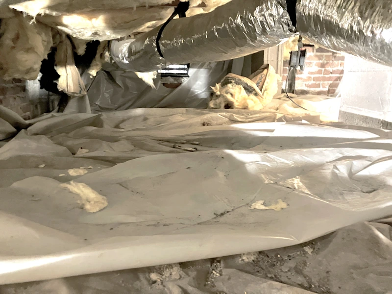 crawl space