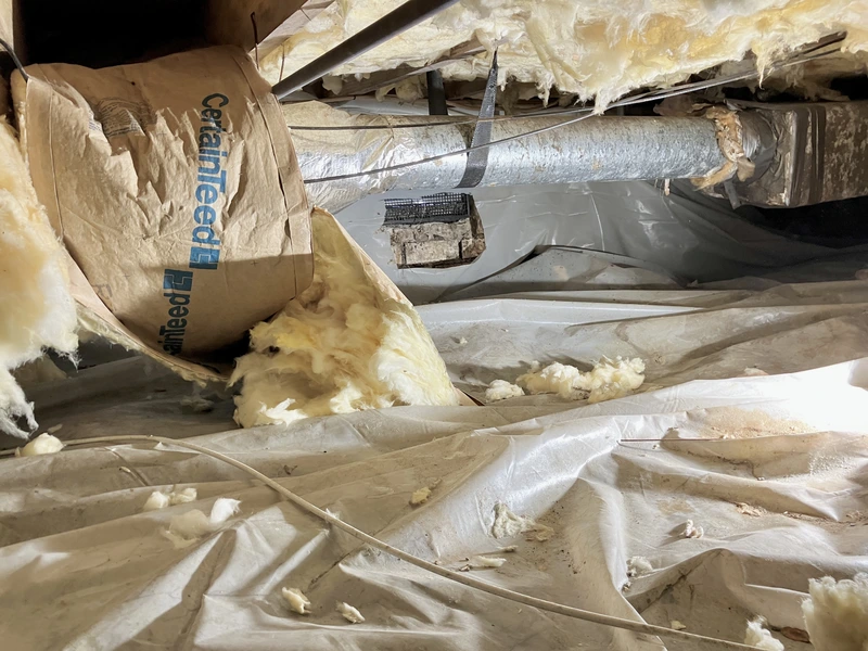 crawl space