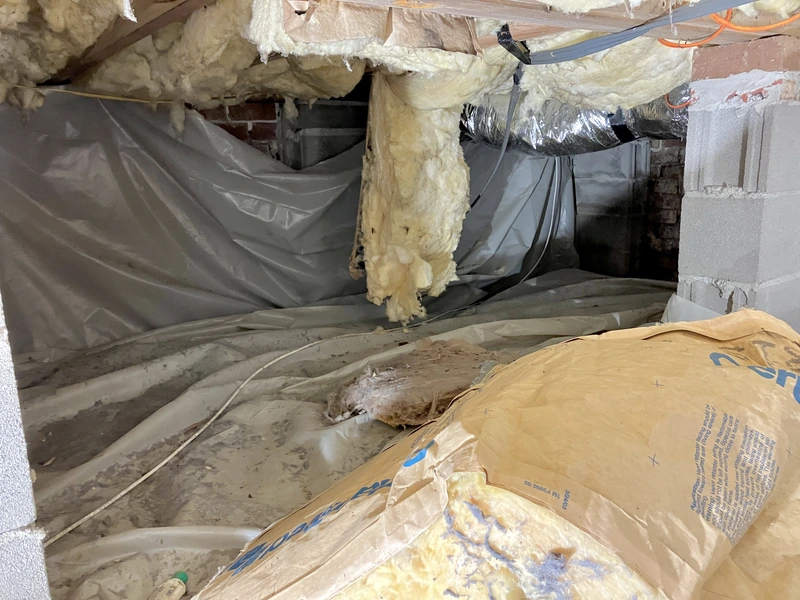 crawl space