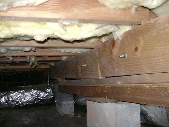 crawl space supports
