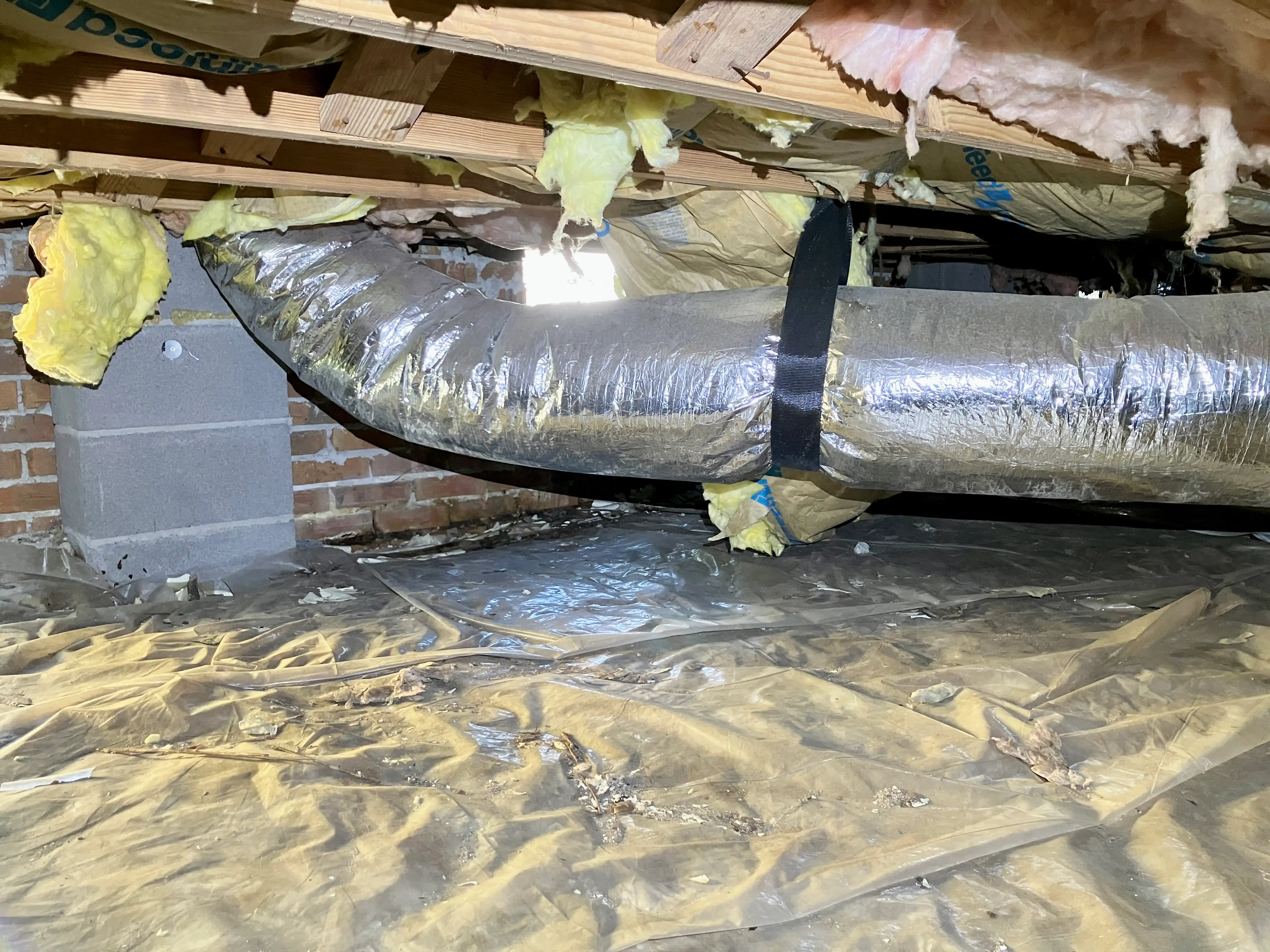 bodmer crawlspace before