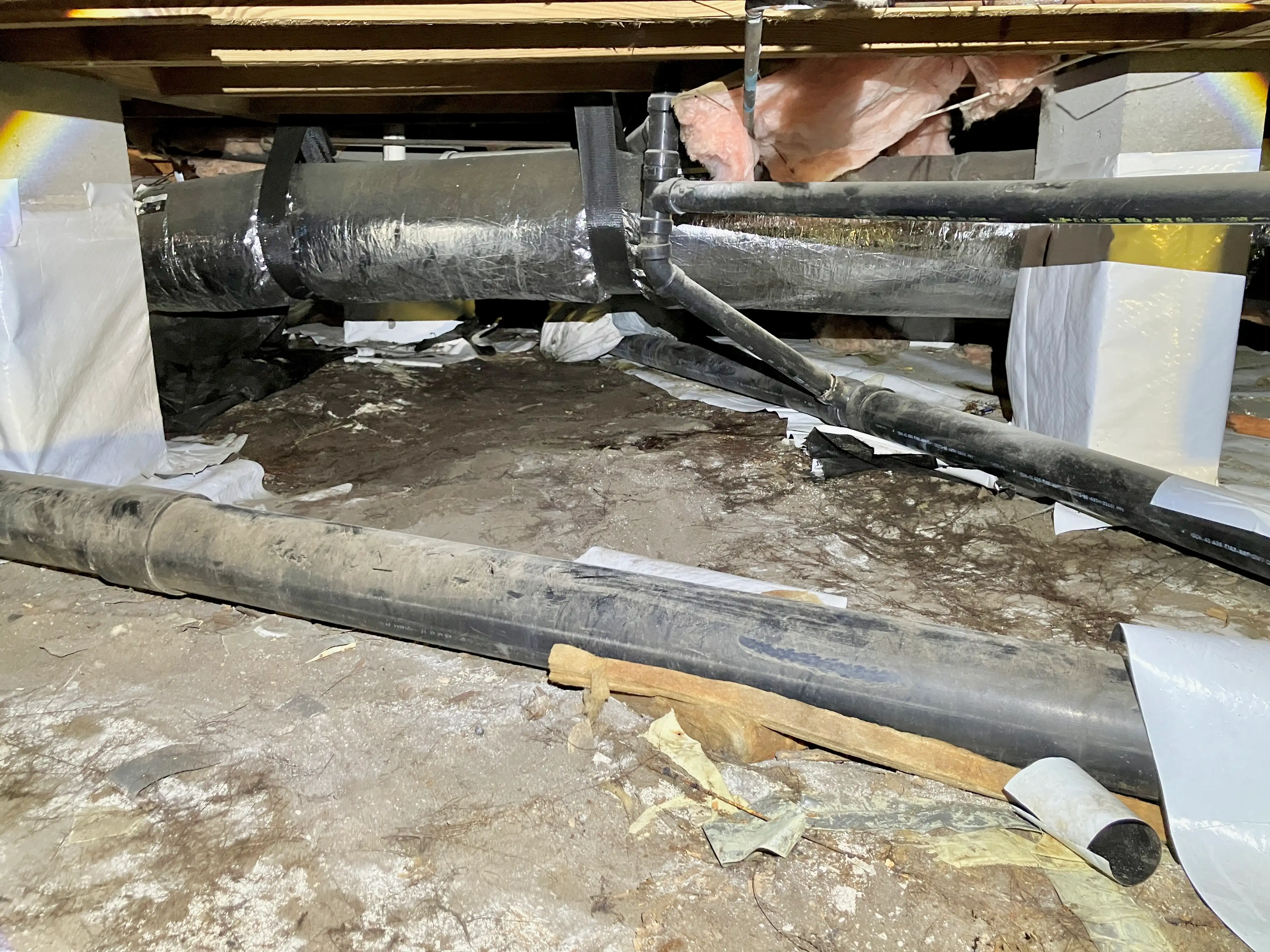 bodmer crawlspace before