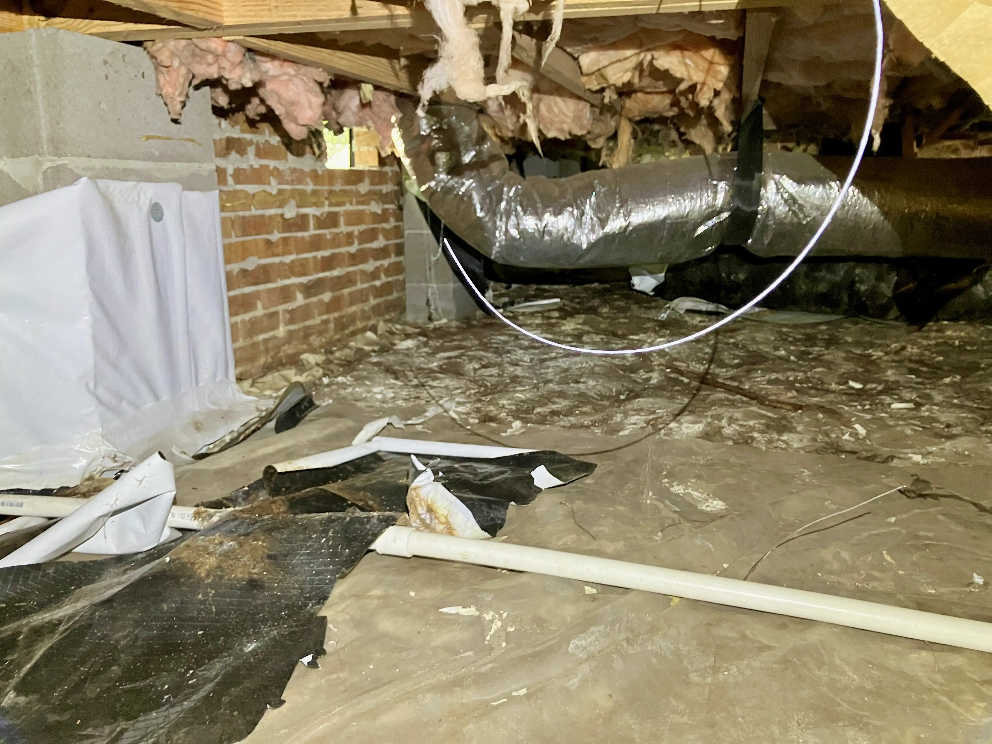 bodmer crawlspace before