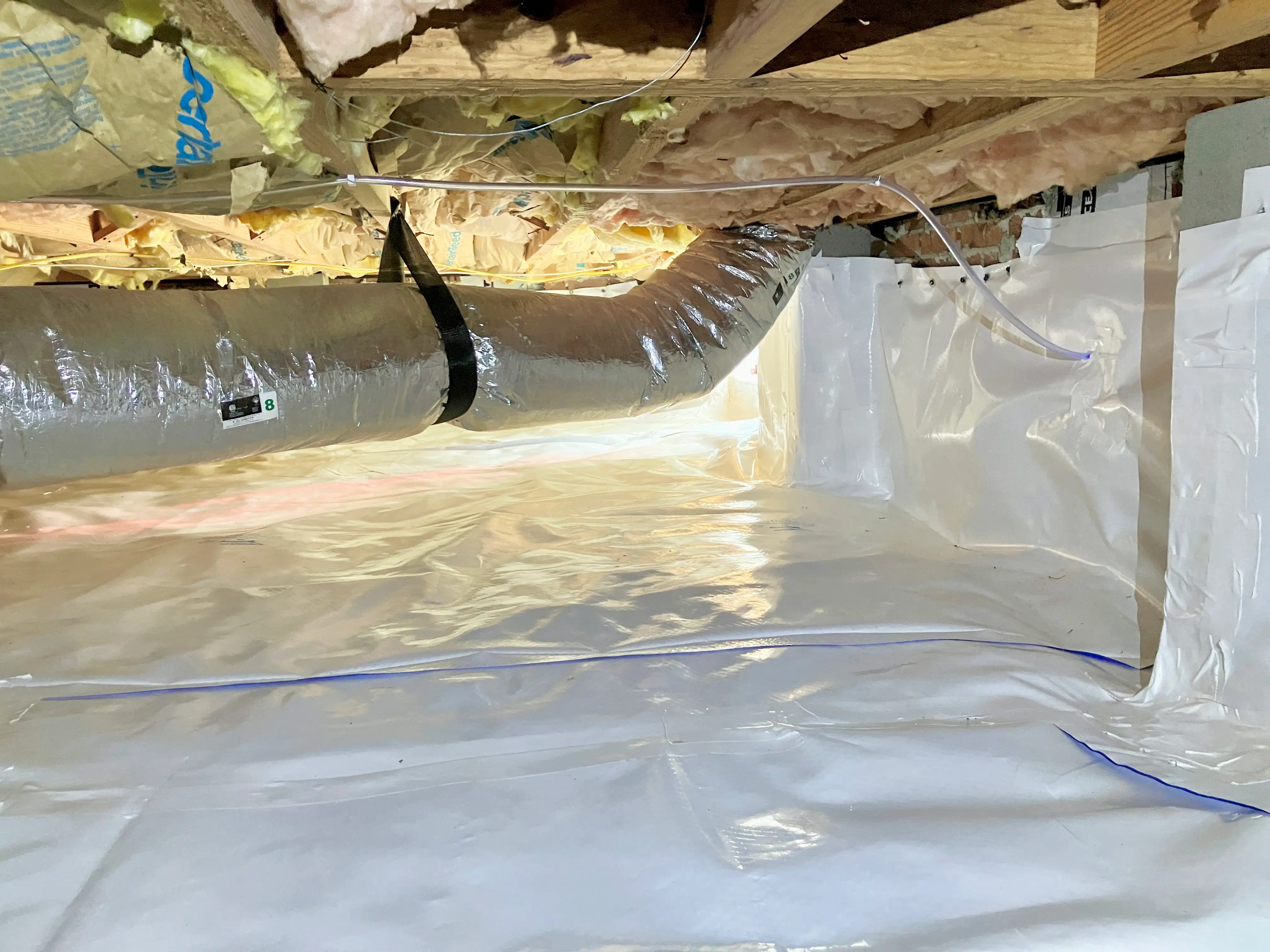 bodmer crawlspace after