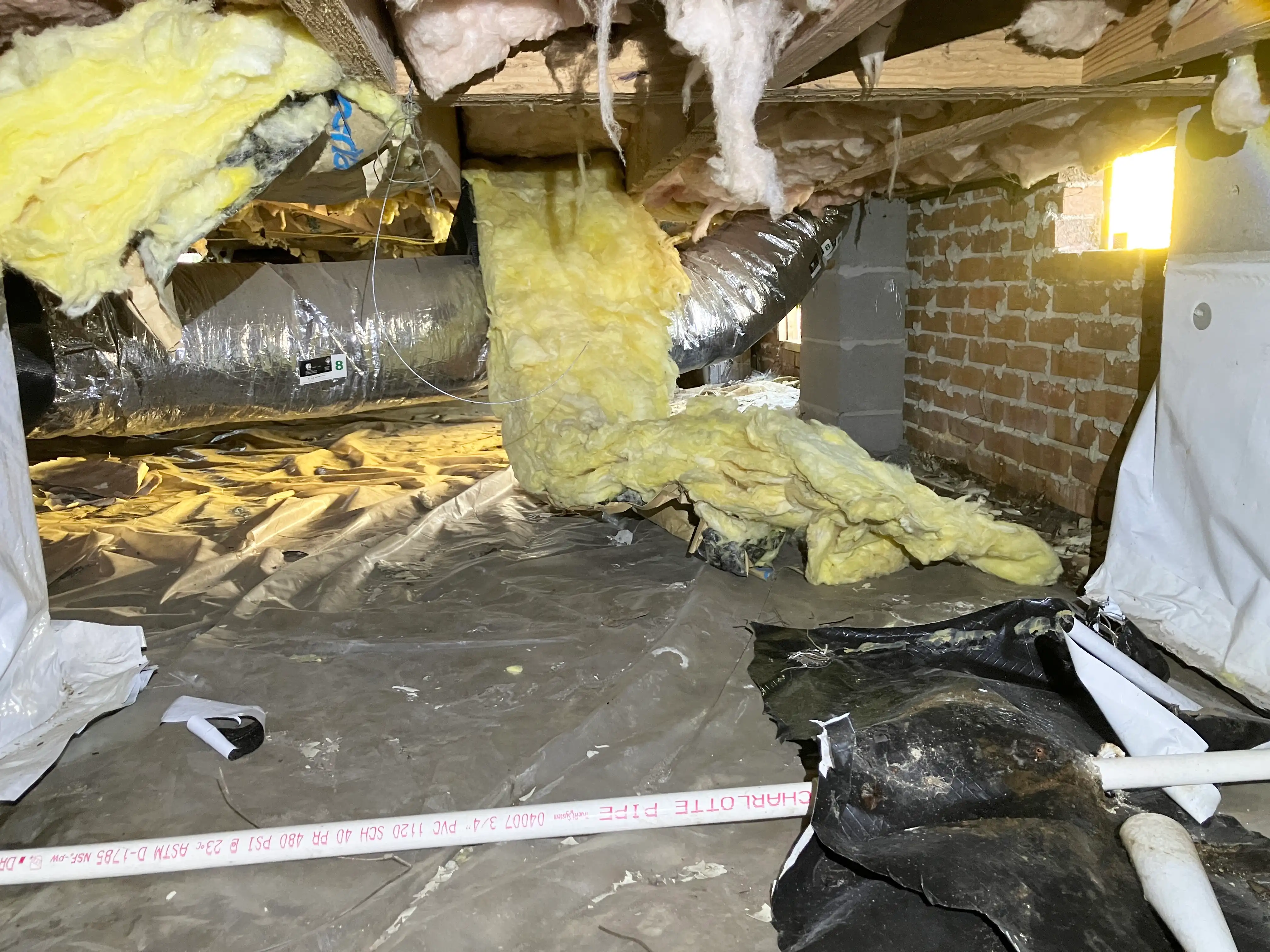 bodmer crawlspace before