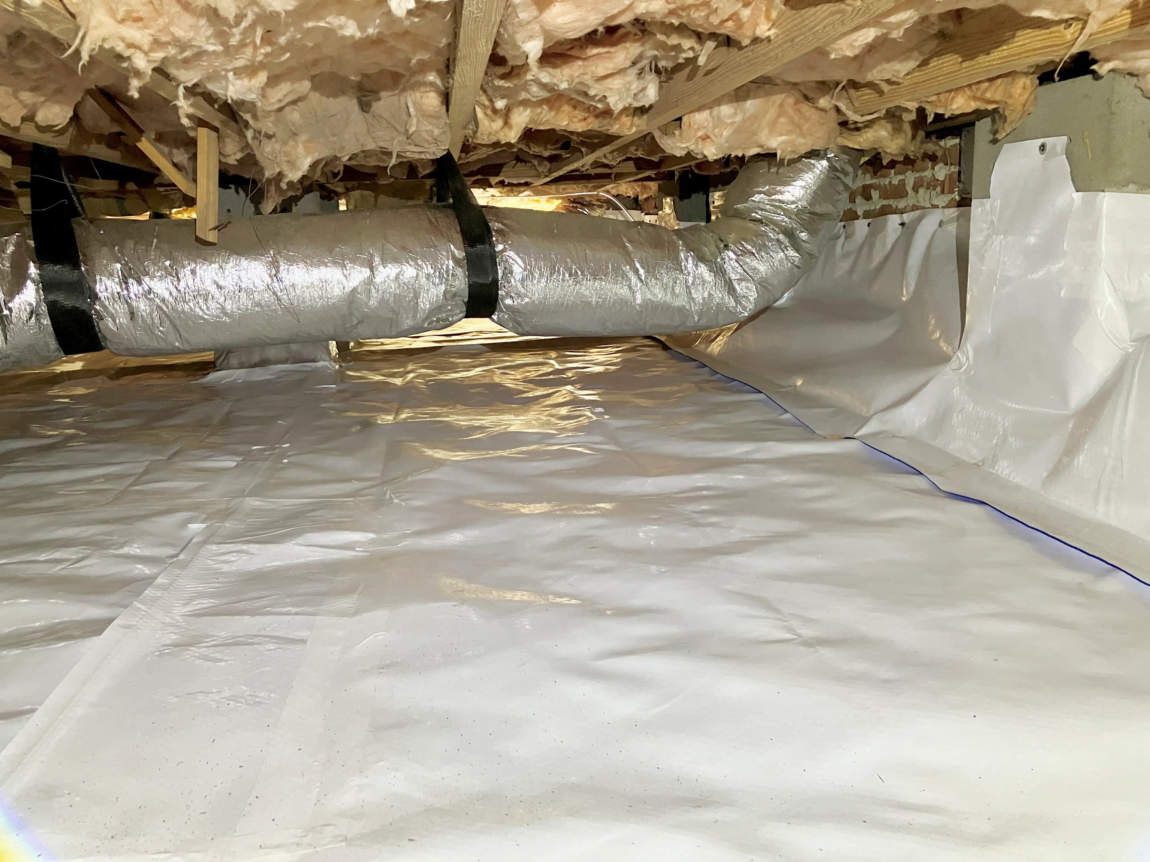 bodmer crawlspace after