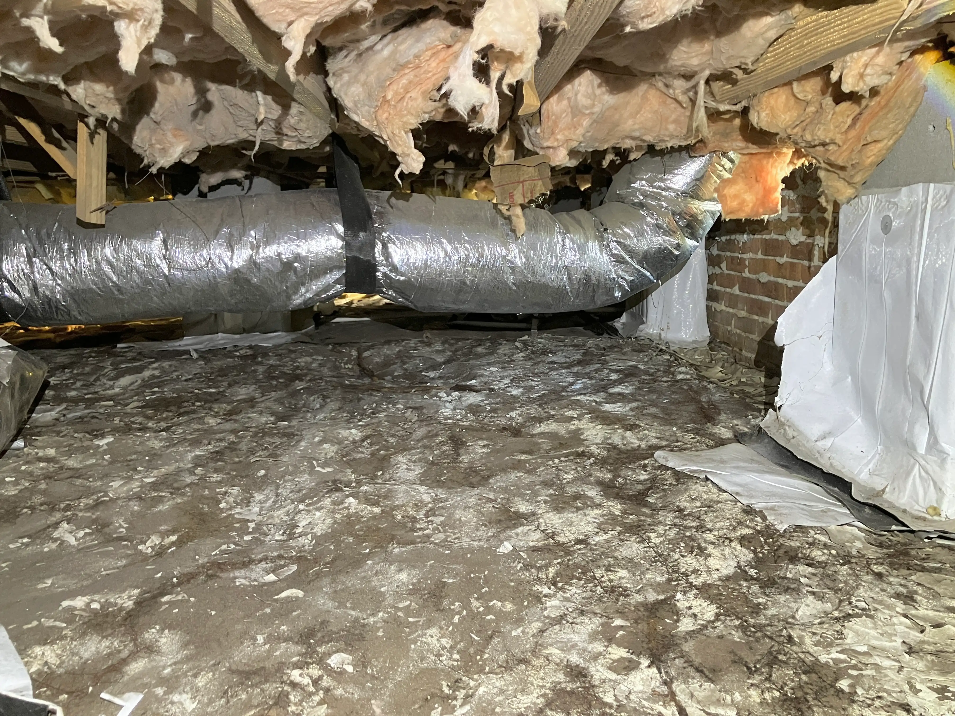 bodmer crawlspace before