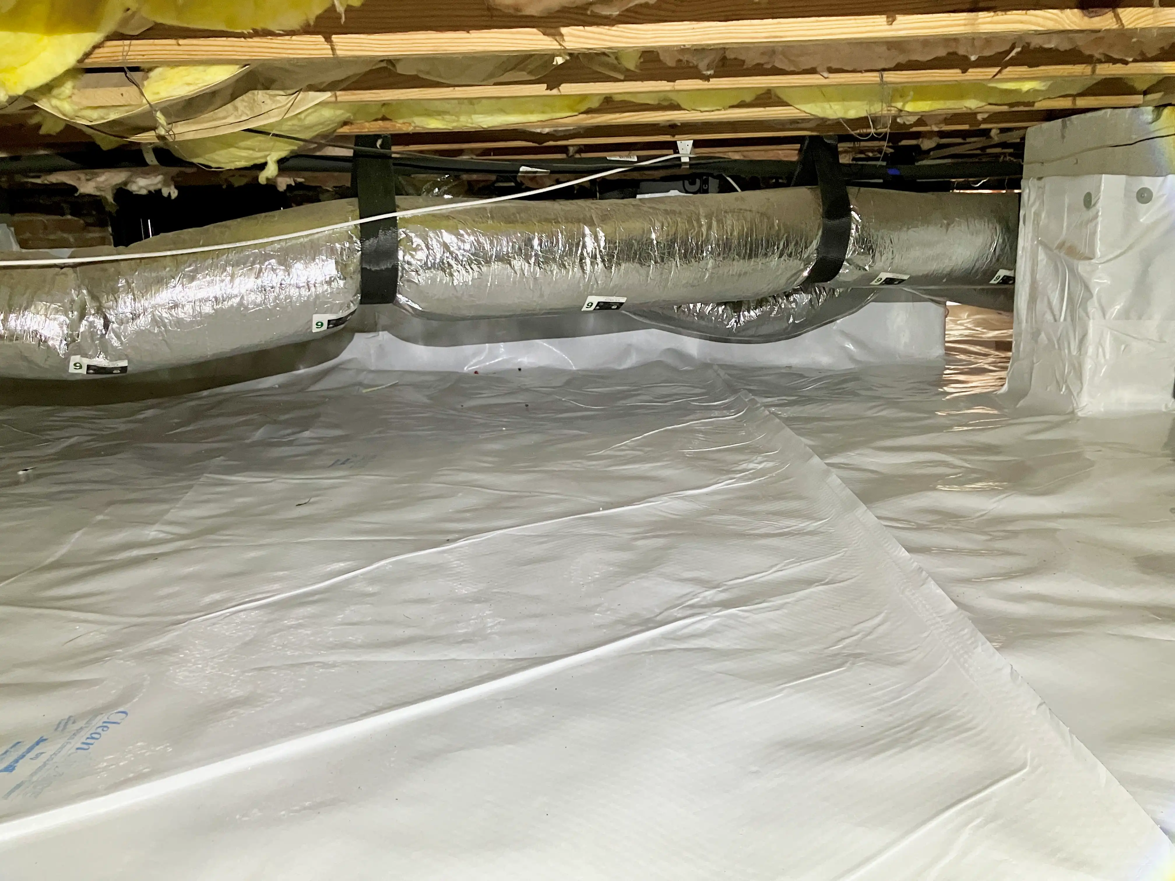 bodmer crawlspace after