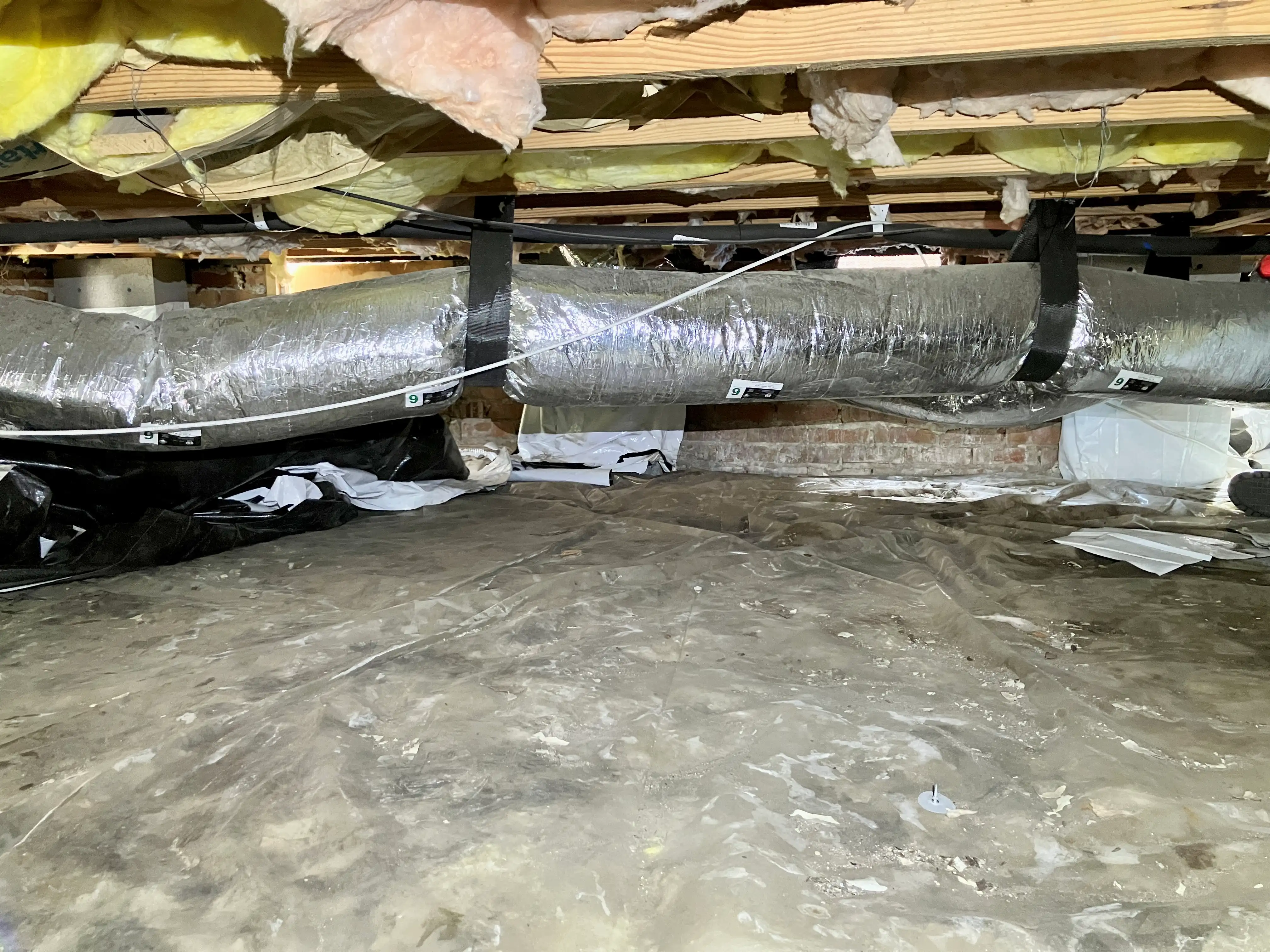 bodmer crawlspace before