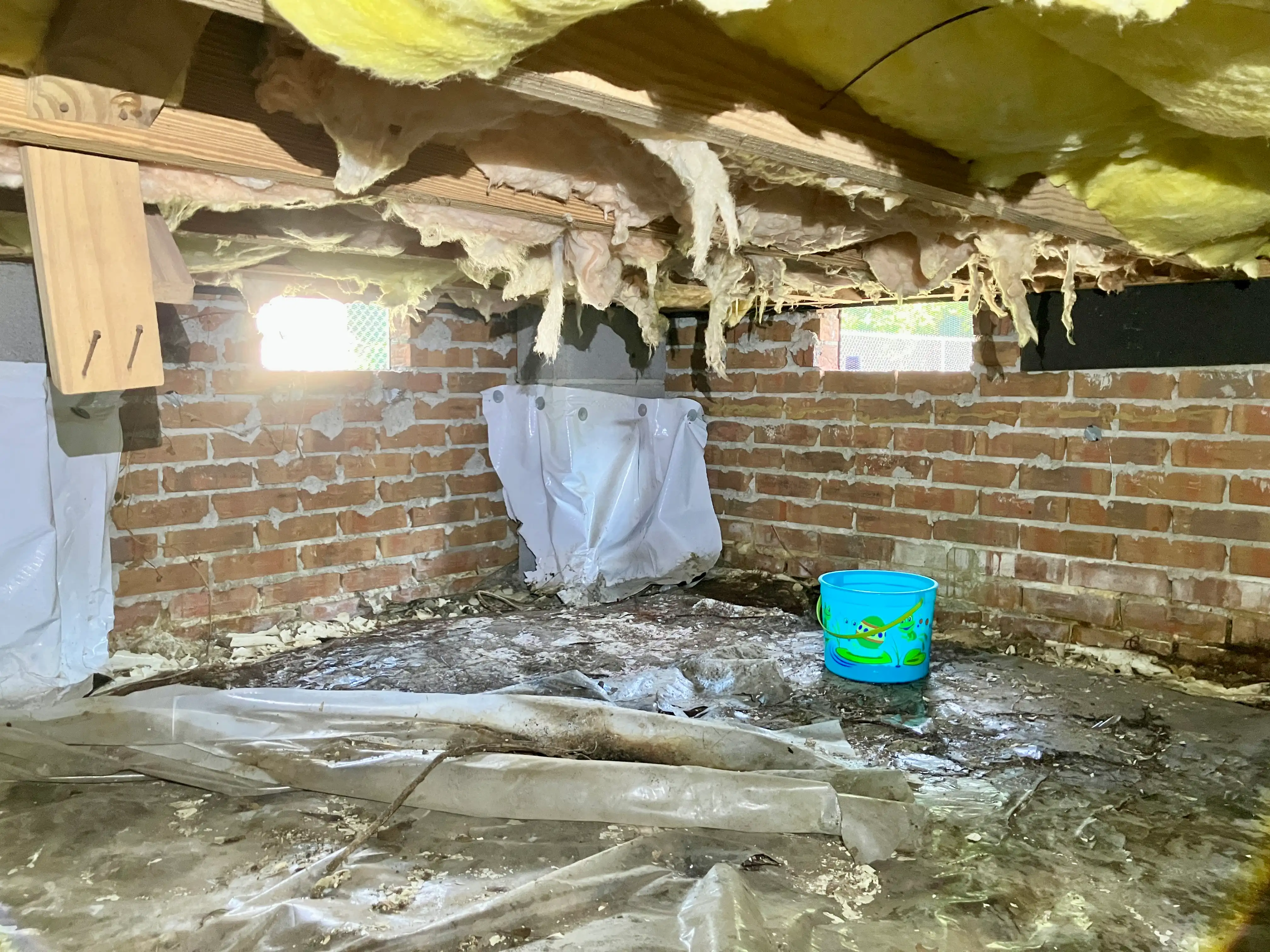bodmer crawlspace before
