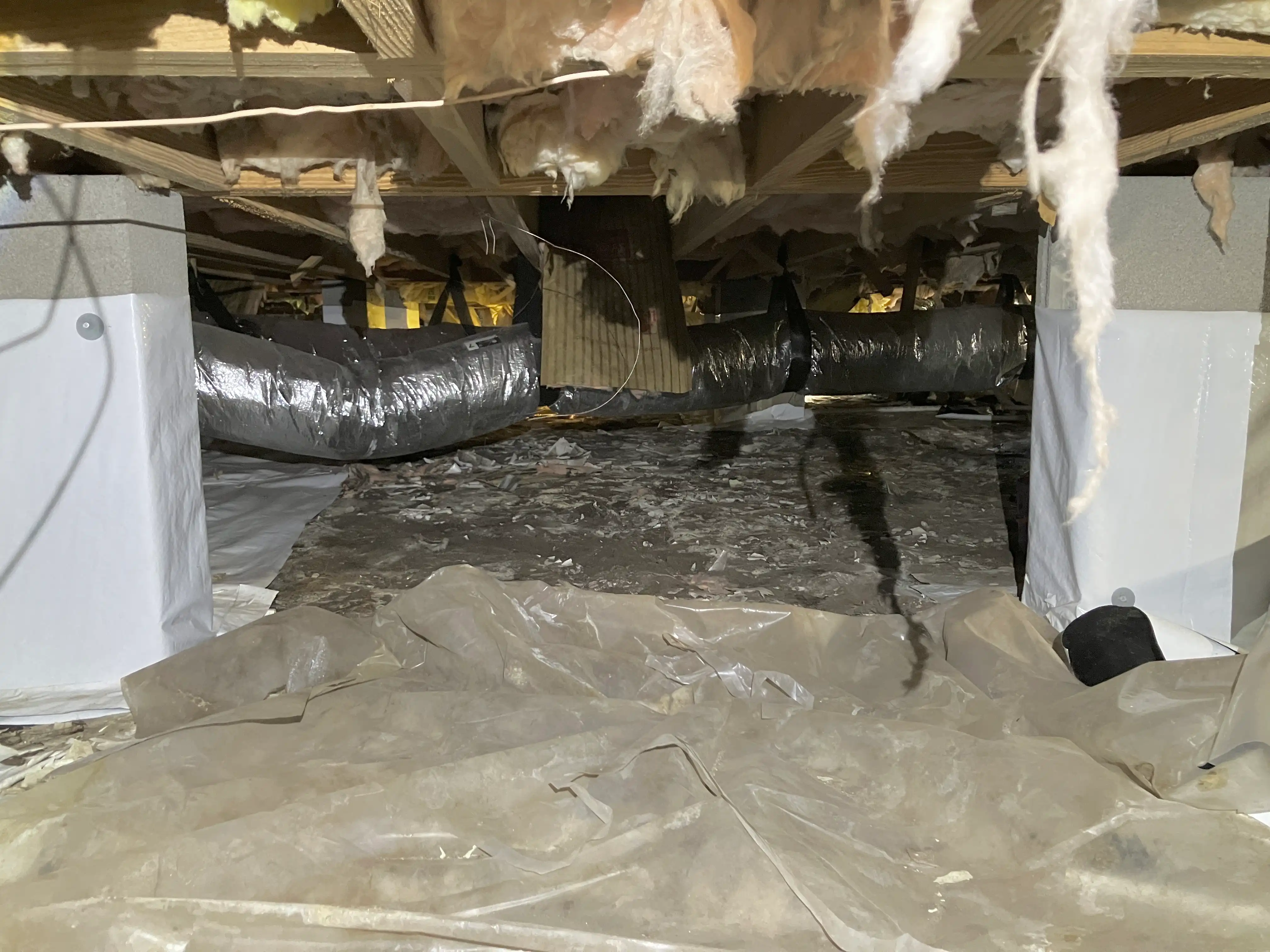 bodmer crawlspace before
