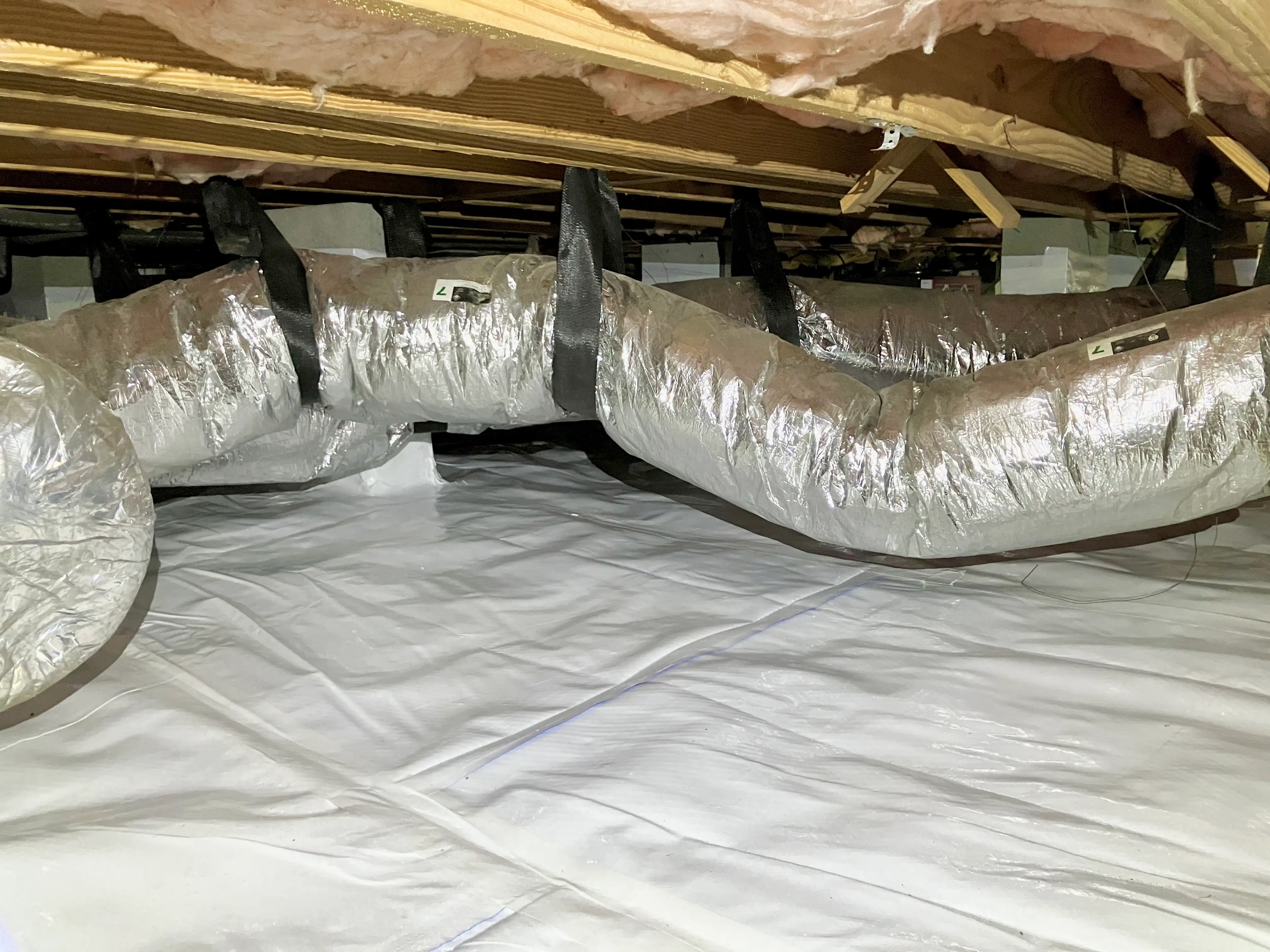 bodmer crawlspace after