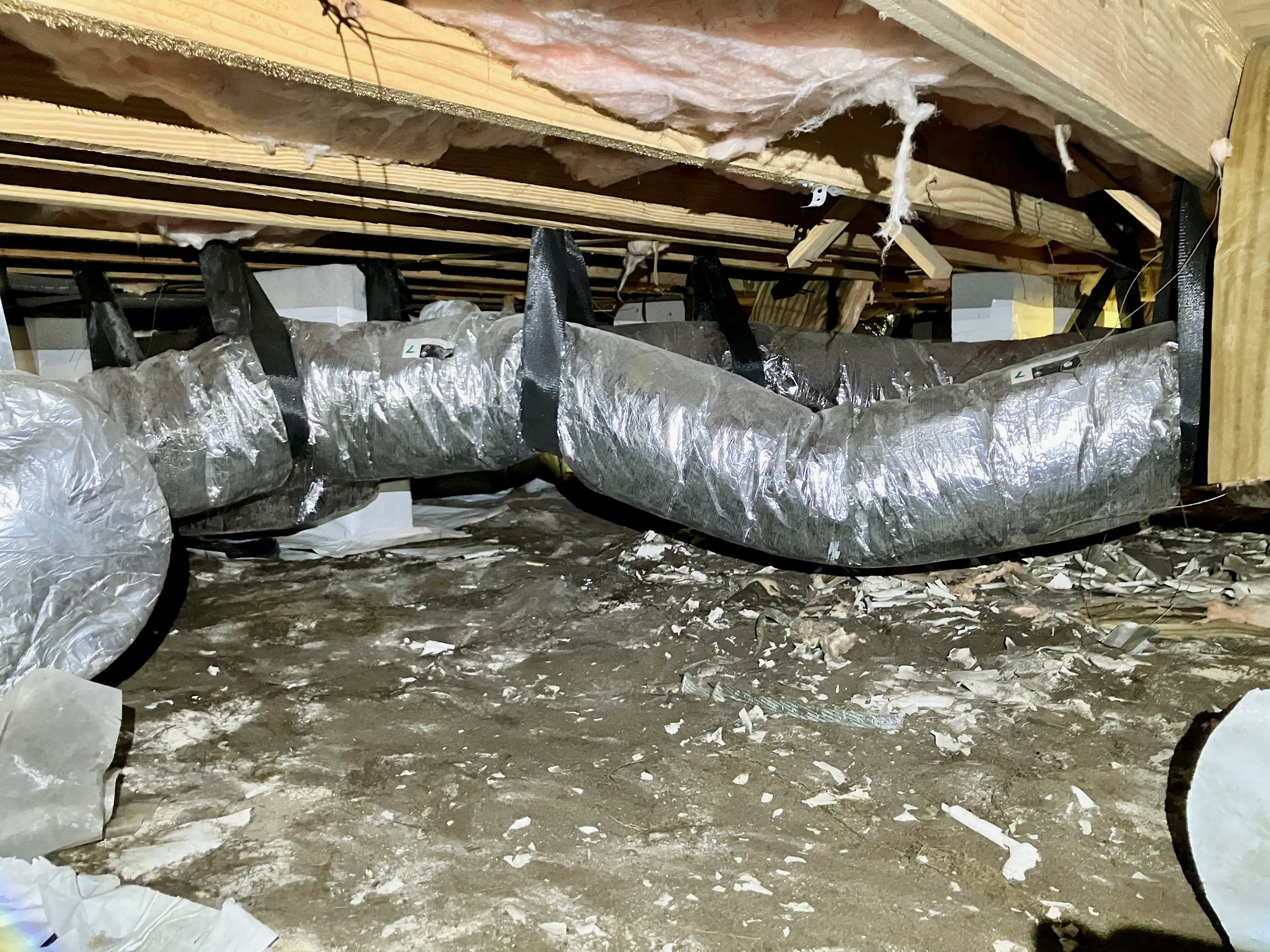 bodmer crawlspace before