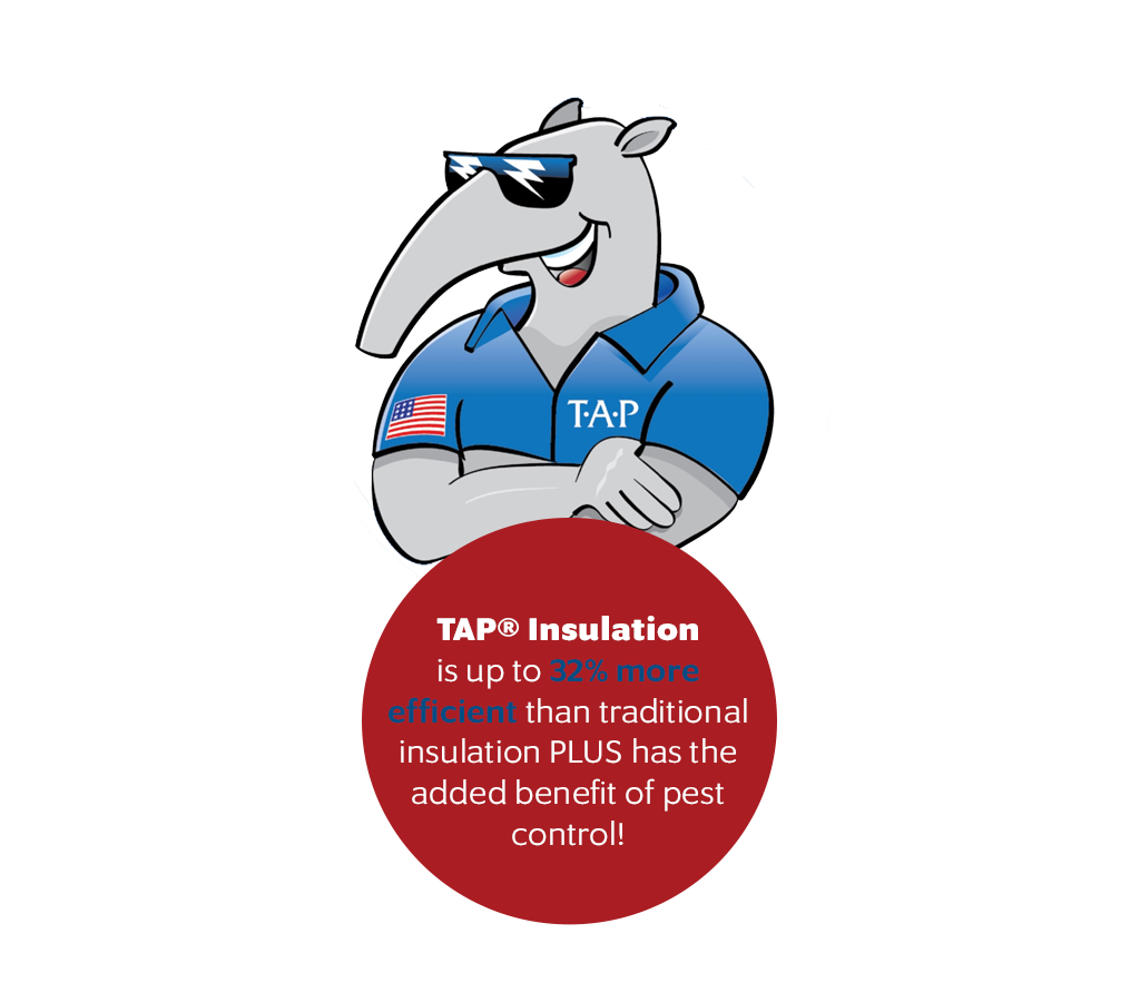 TAP Logo