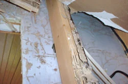 An example of termite damage