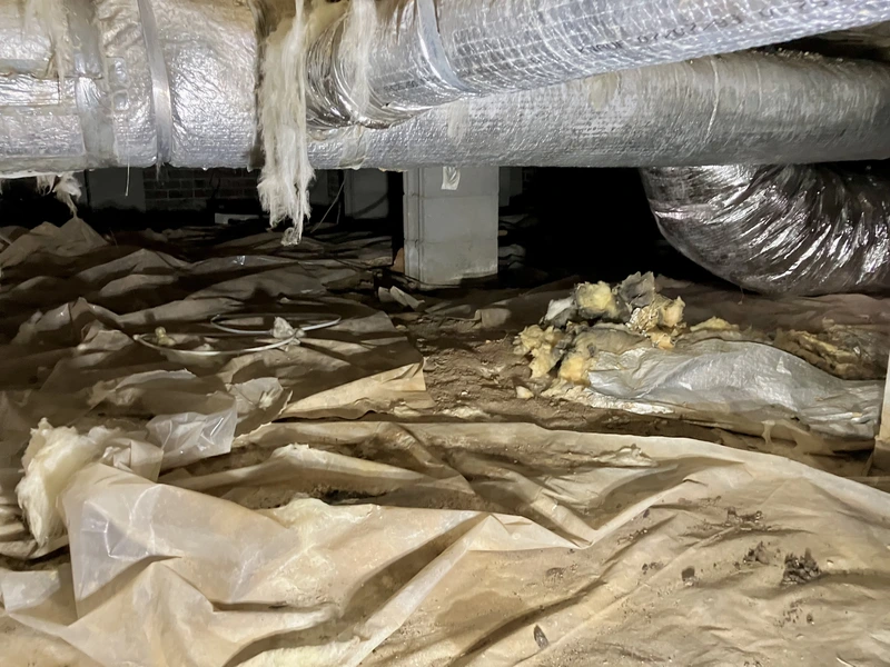 crawl space