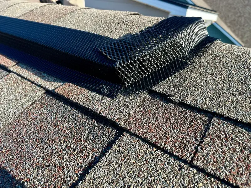 Roof Ridge Guard