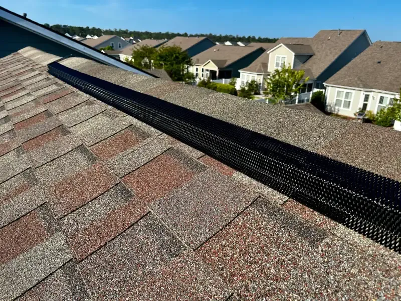 Roof Ridge Guard