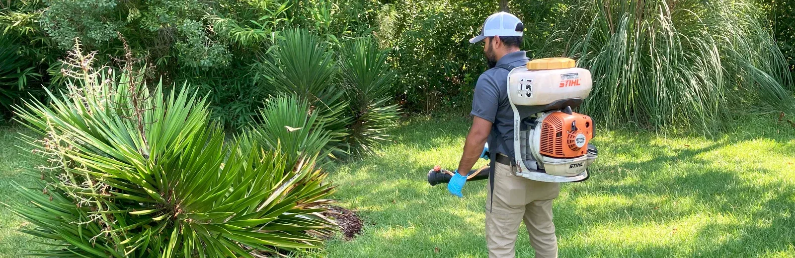 spraying trees and shrubs mosquito prevention