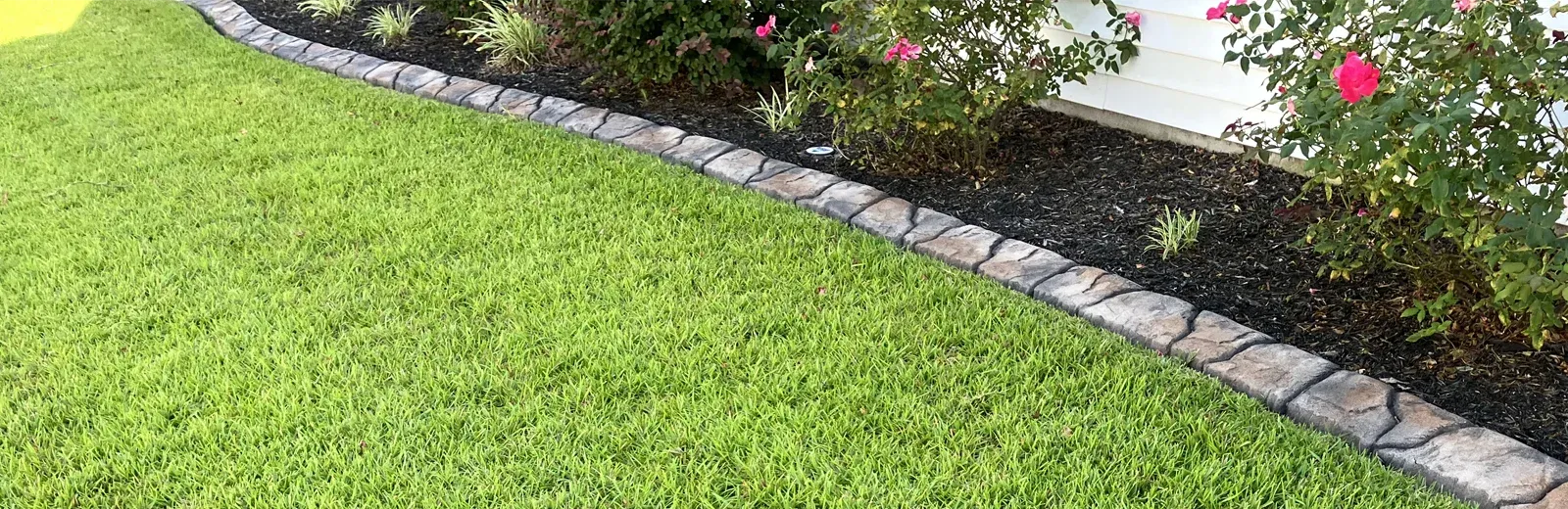 green healthy lawn