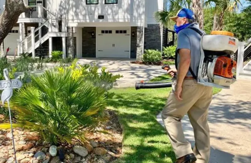 mosquito treatment - fogging plants and trees