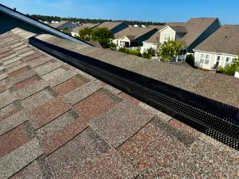Roof Ridge Guard