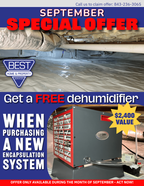 Sept special offer