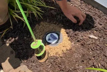 termite control