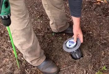 termite control
