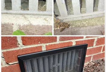 rodent control