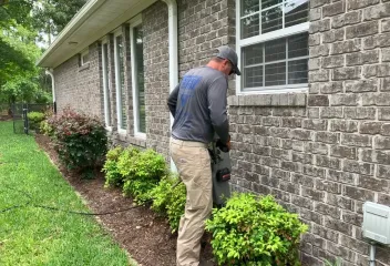 termite control