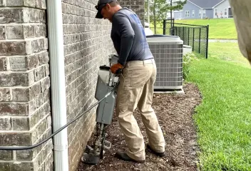 termite control