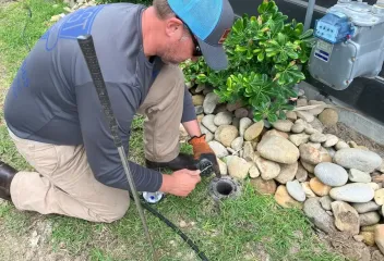 termite control