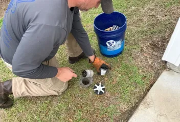 termite control