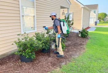 pest control