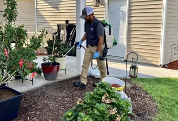 pest control
