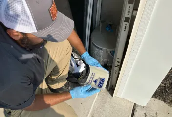 pest control