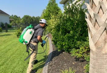 pest control
