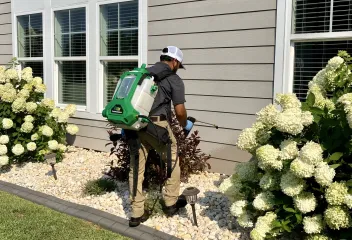 pest control