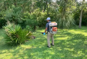 mosquito control